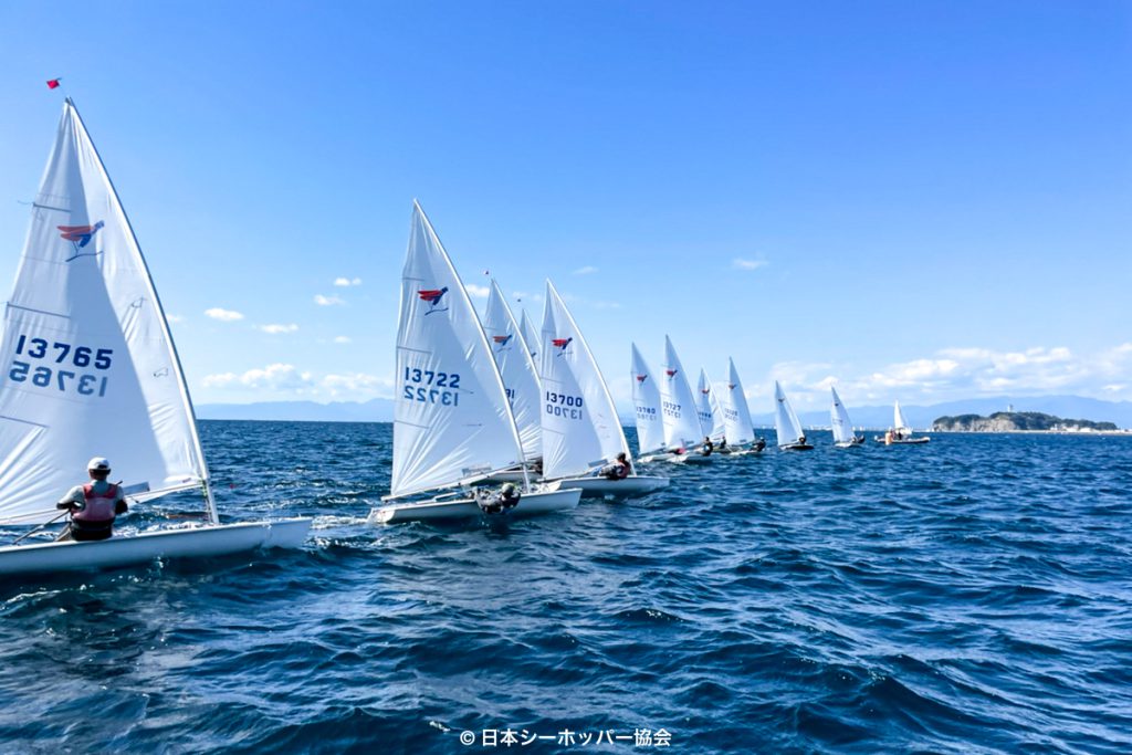 風に恵まれた江の島シーホッパー全日本選手権レポート世界のヨット 